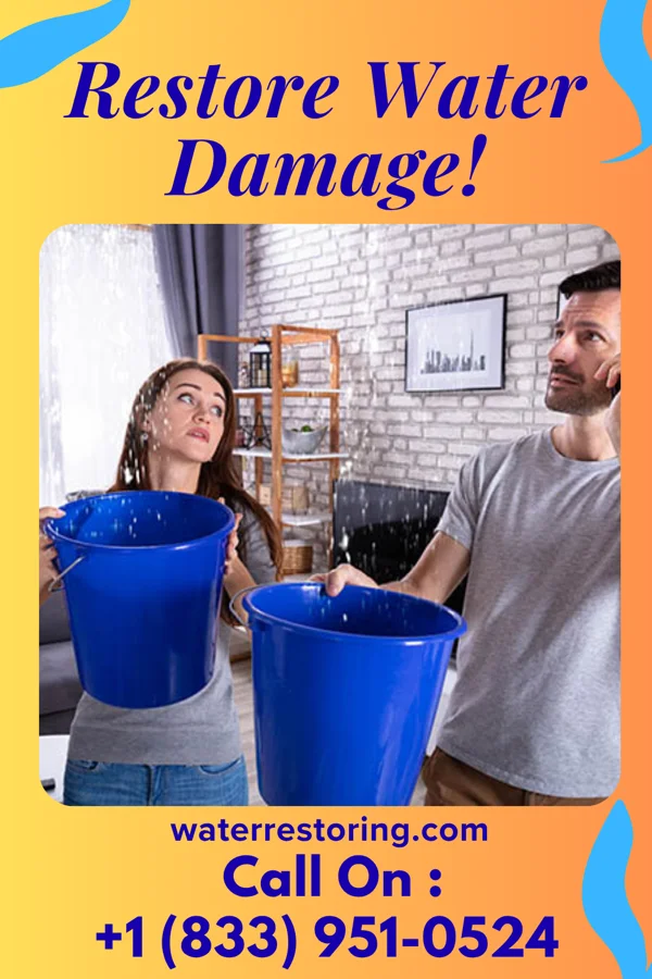 water restoration Platinum Cleanup Pros East Gaffney