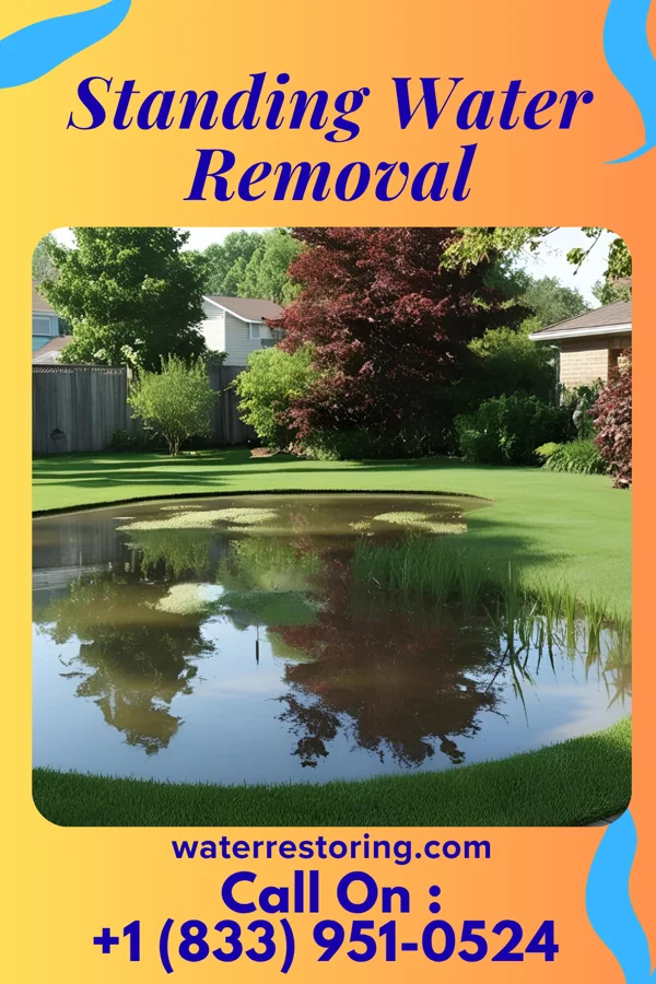 Standing Water Removal in East Gaffney, SC